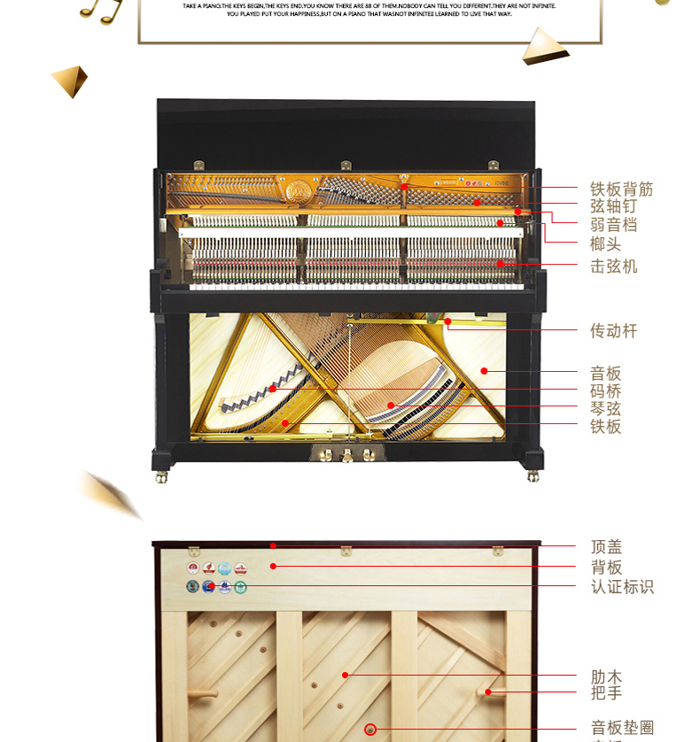 海伦钢琴120SE图片